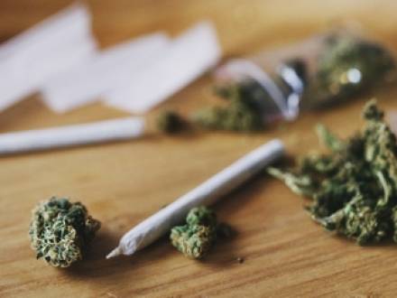 IL immigration lawyer