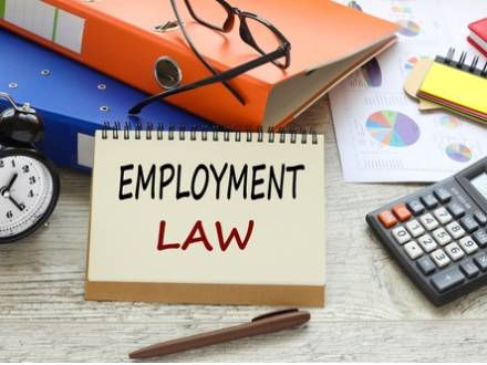 Schaumburg employment lawyer 